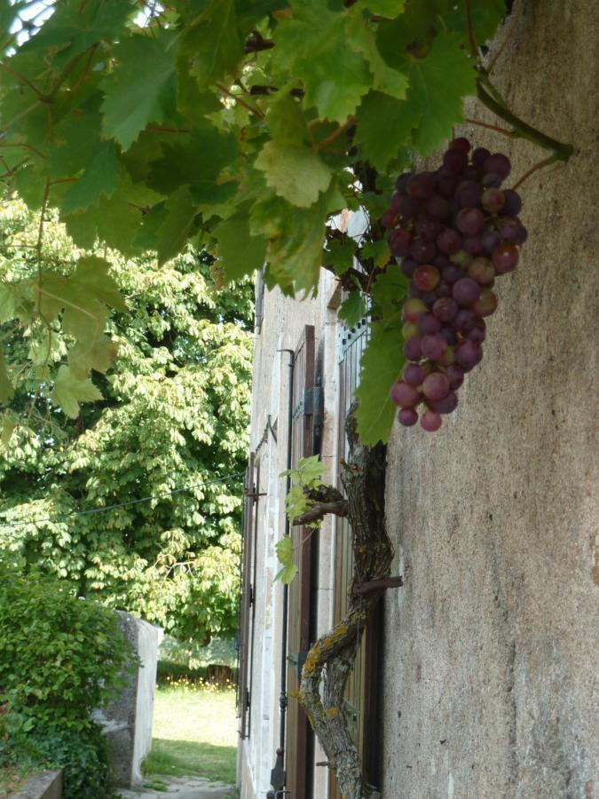 La Peruse A L'Ombre Du Marronnier Gites المظهر الخارجي الصورة